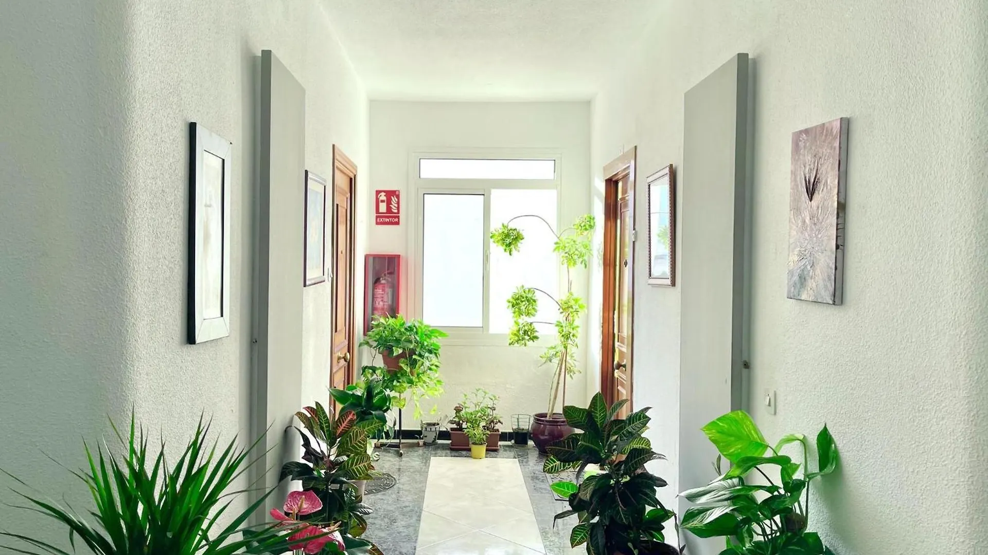 Apartment In Torremolinos Near Seabeach 0*,  Spain